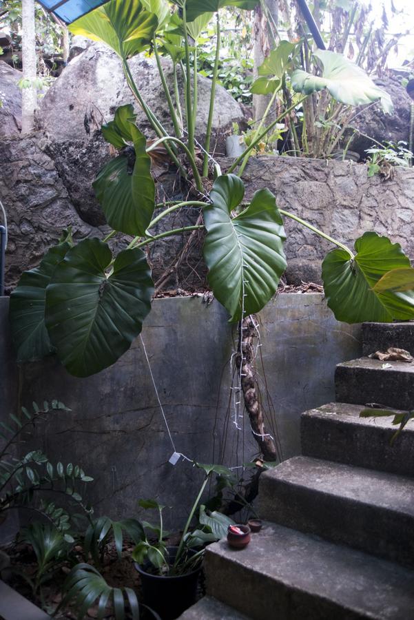 Bed and Breakfast Butterfly Jewel Unawatuna Exterior foto